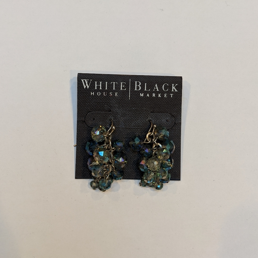 WHBM Shades of Blue/Teal Stone Dangle Earrings
